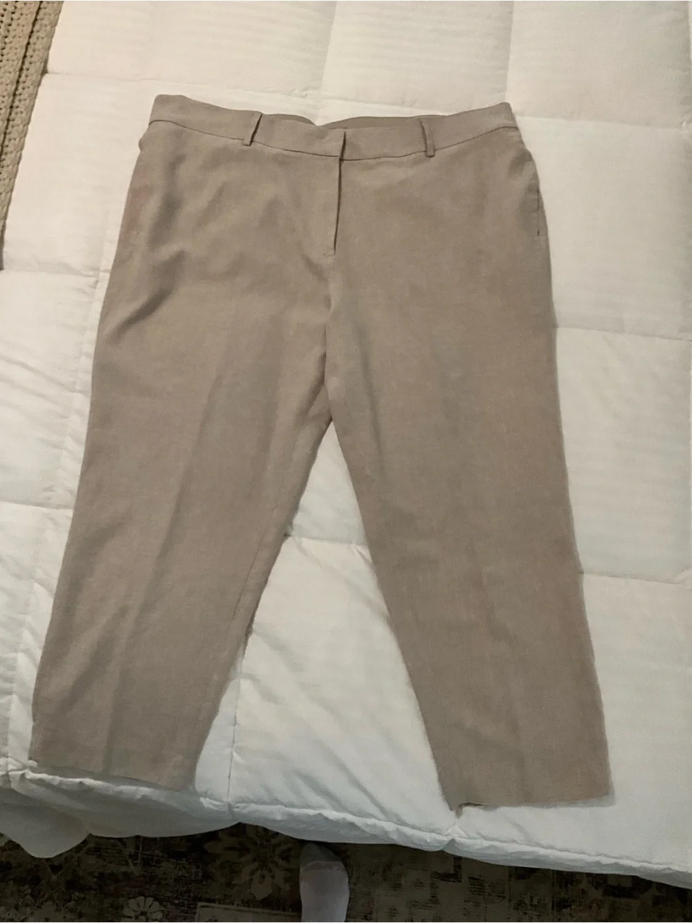 H&M Linen Blend Beige Taupe Ankle Pants Size 20 Plus Size Tailored Trousers